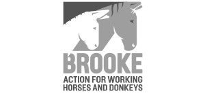 logo_Brooke